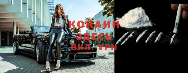 молекула духа Вязьма