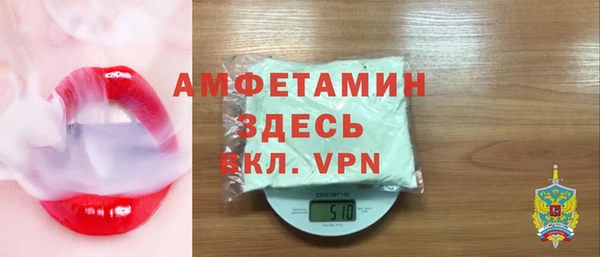 молекула духа Вязьма