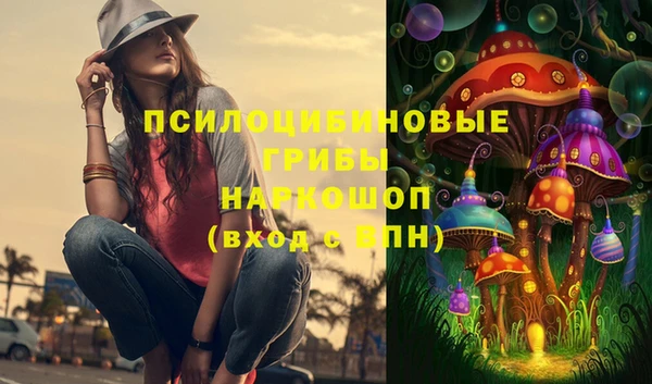 молекула духа Вязьма