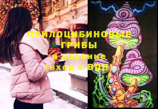 молекула духа Вязьма
